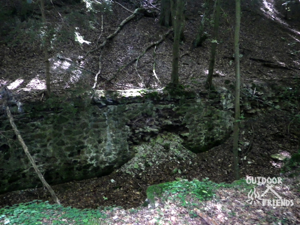 IMGP2161