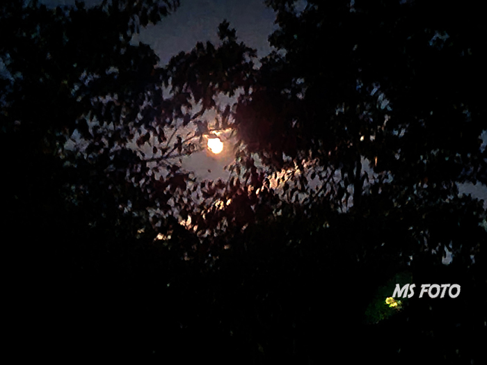 20251009_211358 20251009_211358