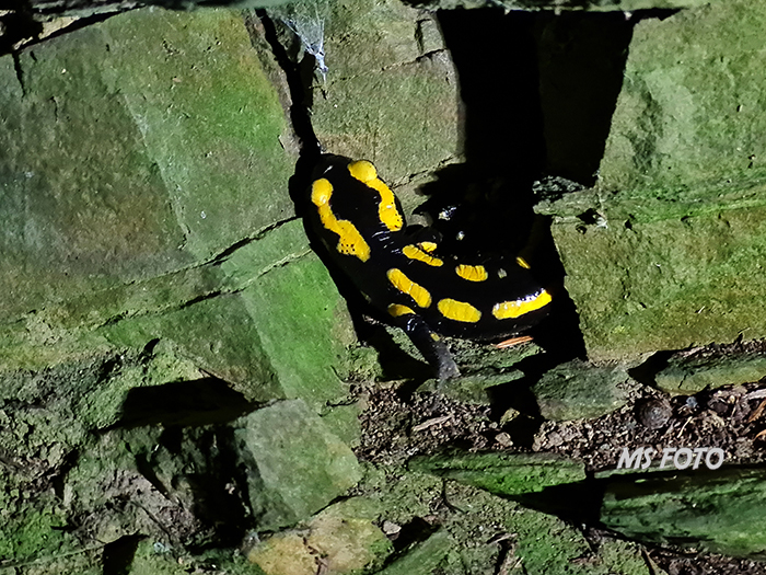 20251016_194038 20251016_194038