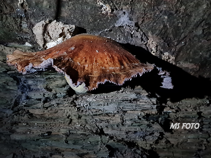 20251016_194242 20251016_194242